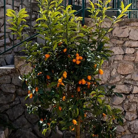 Tessa With Terrace, Free Wi-fi/parking Dubrovnik